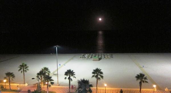 Imagen 15 Telepizza foto