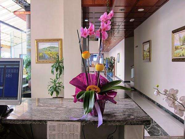 Imagen 10 Telepizza foto