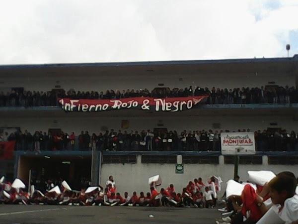 Imagen 3 Otorrino Dr. Luis Mompó Romero foto