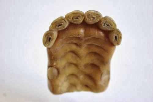 Imagen 3 Gloria's Mexican Food foto