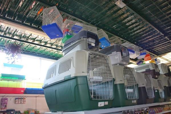 Imagen 73 Airsoftsur foto