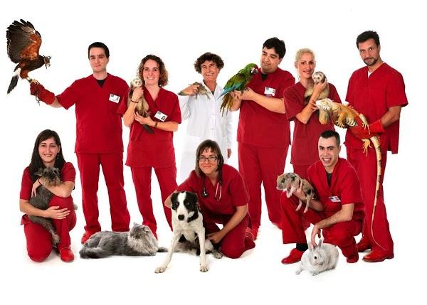 Imagen 11 SOCIEDAD GENERAL DE ESCRITORES DE MEXICO, S.G.C. DE .IP. foto