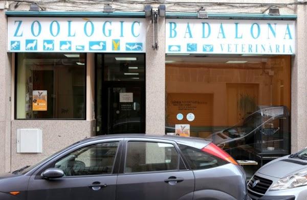 Imagen 4 SOCIEDAD GENERAL DE ESCRITORES DE MEXICO, S.G.C. DE .IP. foto