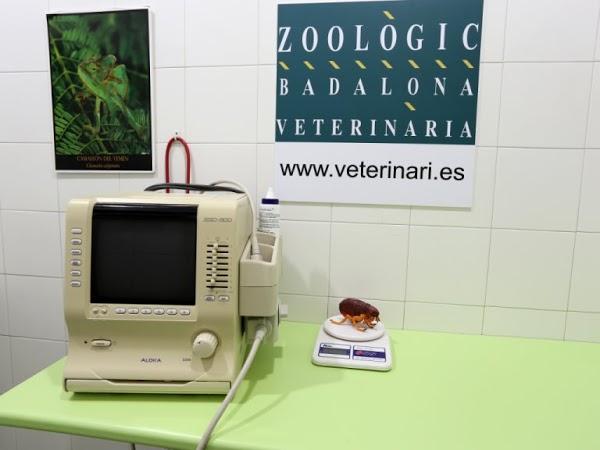 Imagen 7 SOCIEDAD GENERAL DE ESCRITORES DE MEXICO, S.G.C. DE .IP. foto