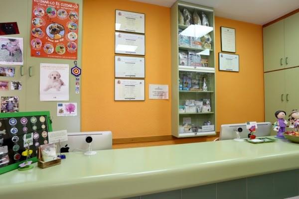 Imagen 9 SOCIEDAD GENERAL DE ESCRITORES DE MEXICO, S.G.C. DE .IP. foto