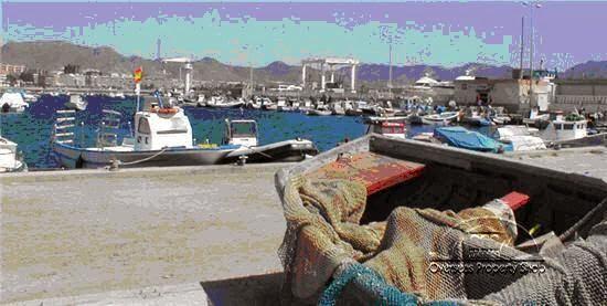 Imagen 22 Forja y Hierro Goliat foto