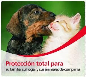 Imagen 11 Parroquia de la Asunción foto