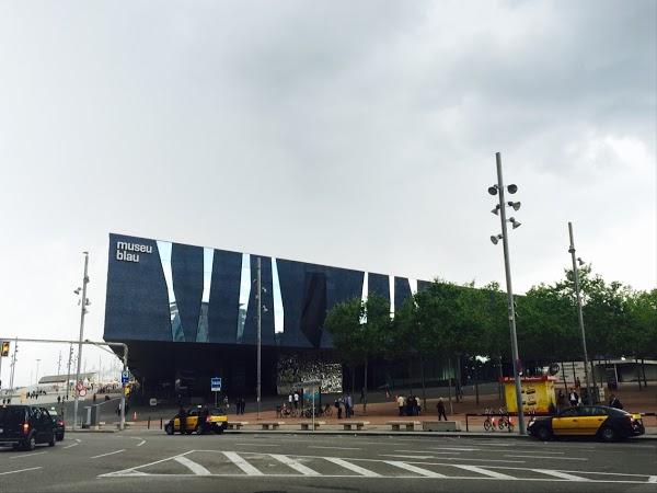 Imagen 17 SKATEPARK CAHUIDE foto