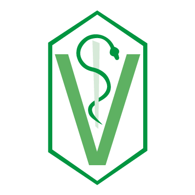 Imagen 17 Coelca Fuerteventura foto