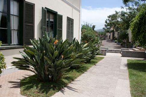 Imagen 22 Coelca Fuerteventura foto