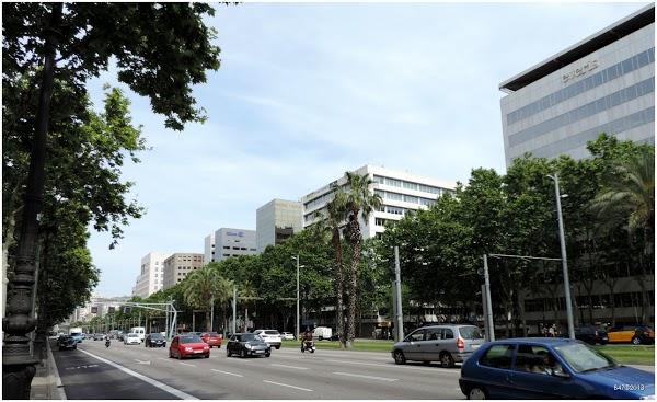 Imagen 8 SI Turó d'en Baldiri foto