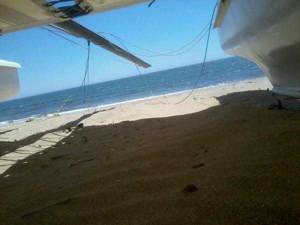 Imagen 2 A TODA MAGIA foto