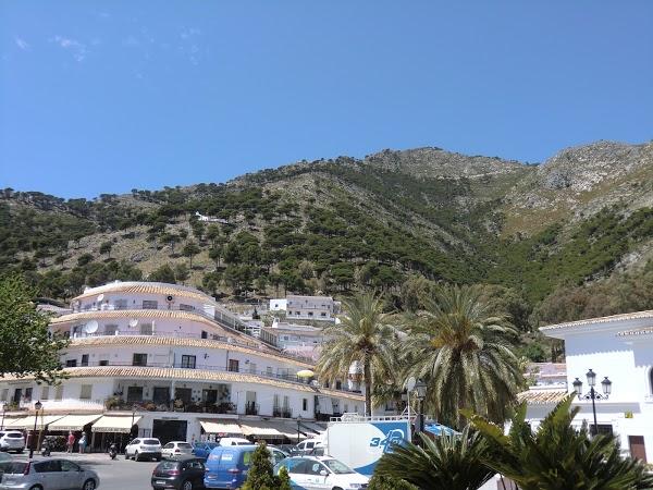 Imagen 62 Aparthotel Jardines de Aristi foto