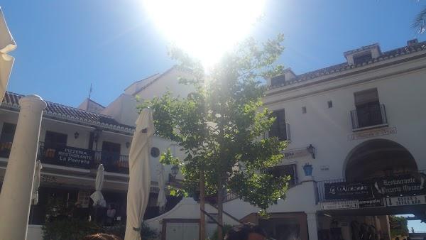 Imagen 73 Aparthotel Jardines de Aristi foto