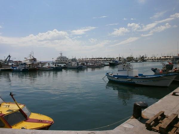 Imagen 206 Asociación de Usuarios Puerto de Santa Pola foto