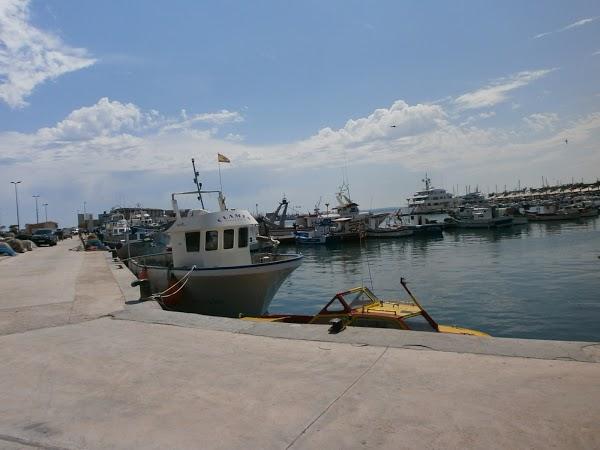 Imagen 214 Asociación de Usuarios Puerto de Santa Pola foto