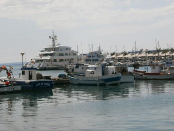 Imagen 219 Asociación de Usuarios Puerto de Santa Pola foto