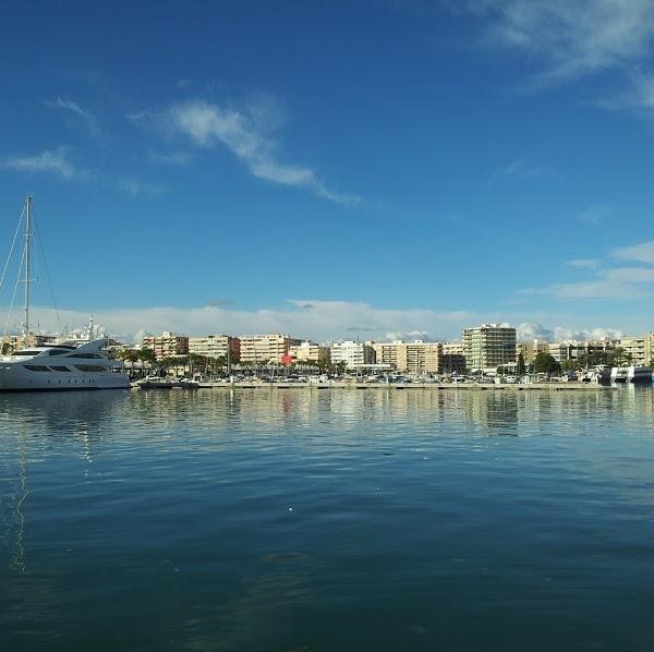 Imagen 229 Asociación de Usuarios Puerto de Santa Pola foto