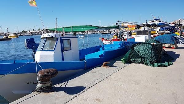 Imagen 253 Asociación de Usuarios Puerto de Santa Pola foto