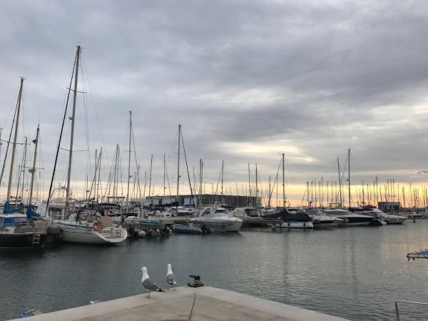Imagen 256 Asociación de Usuarios Puerto de Santa Pola foto