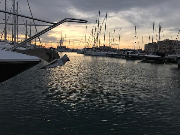 Imagen 258 Asociación de Usuarios Puerto de Santa Pola foto