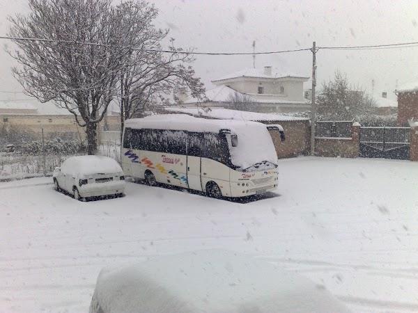 Imagen 59 Autocares Torres Bus foto