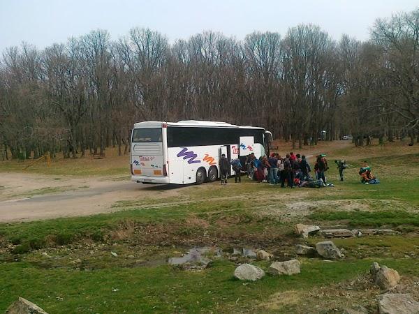 Imagen 60 Autocares Torres Bus foto