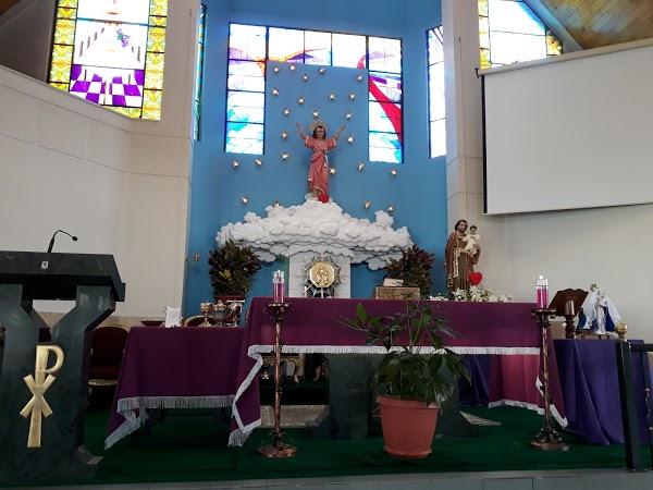 Imagen 36 Restaurante El 24 de la Paloma foto