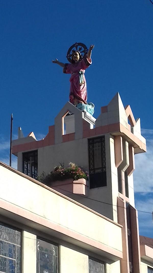 Imagen 41 Restaurante El 24 de la Paloma foto