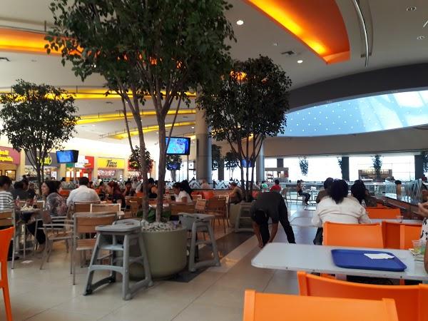 Imagen 11 Barcino foto