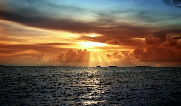 Imagen 12 Barcino foto