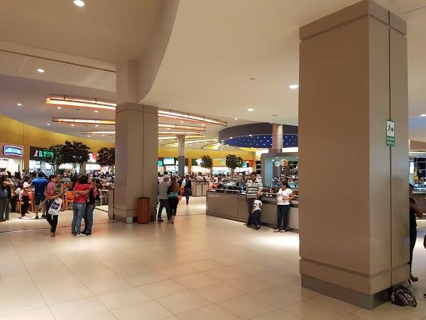 Imagen 14 Barcino foto