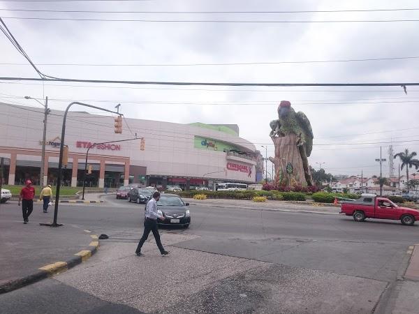 Imagen 17 Barcino foto