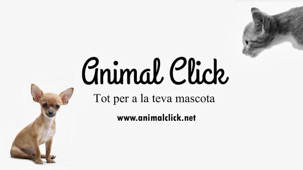 Imagen 22 Barcino foto