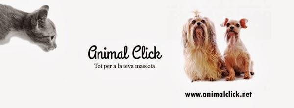 Imagen 25 Barcino foto