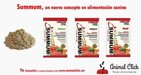 Imagen 26 Barcino foto