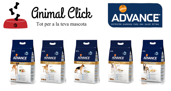 Imagen 28 Barcino foto