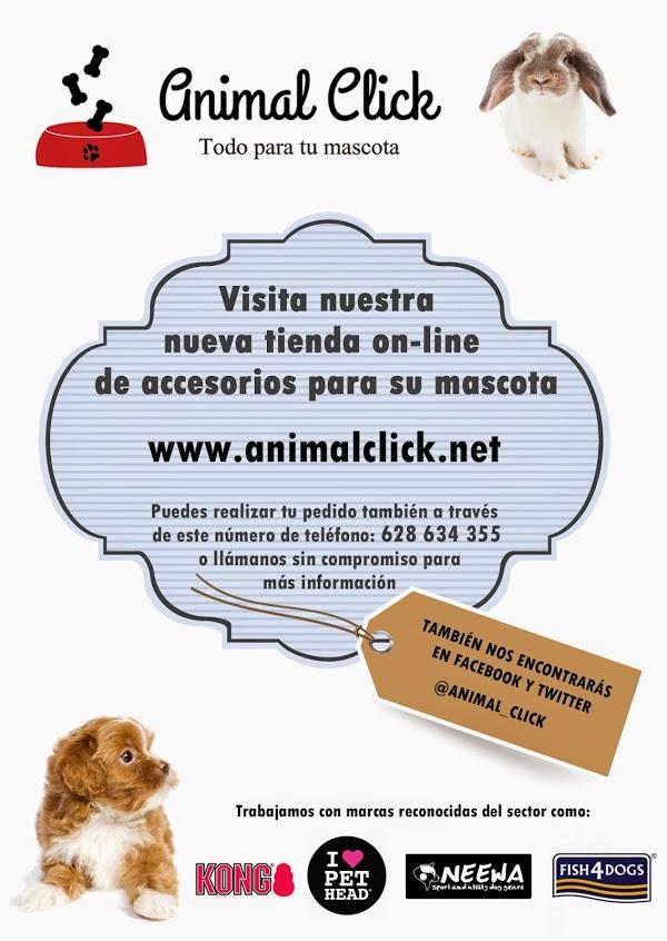 Imagen 29 Barcino foto