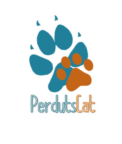 Imagen 31 Barcino foto