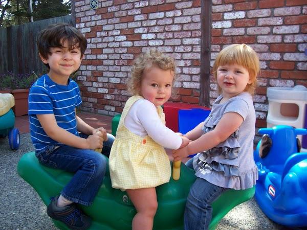 Imagen 6 Barcino foto