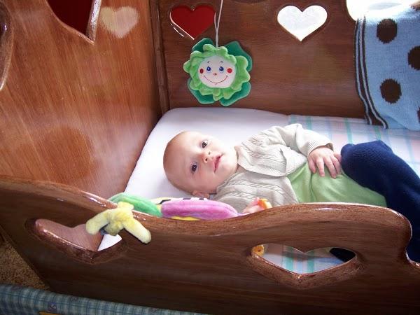 Imagen 7 Barcino foto