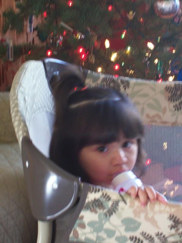 Imagen 9 Barcino foto