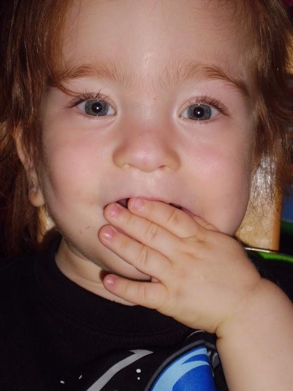 Imagen 10 Barcino foto