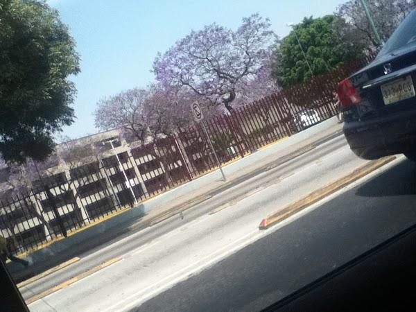 Imagen 18 Banco Del Bajio Brisas foto