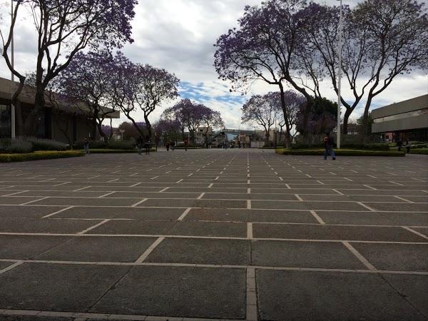 Imagen 23 Banco Del Bajio Brisas foto