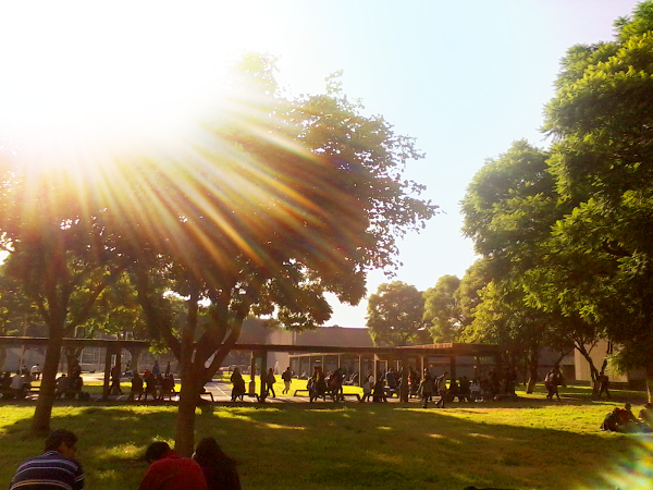 Imagen 7 Banco Del Bajio Brisas foto