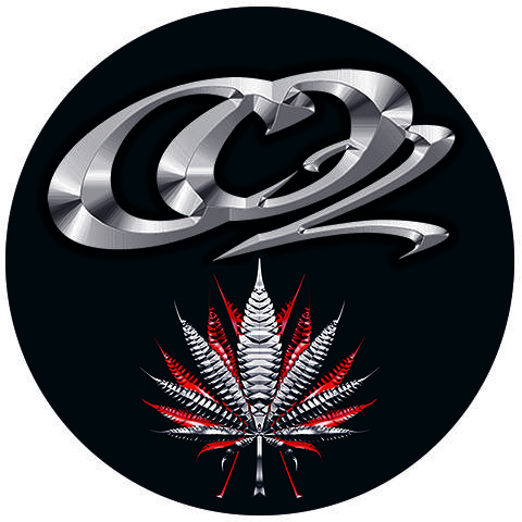 Imagen 16 Restaurant Pizzería Viena foto