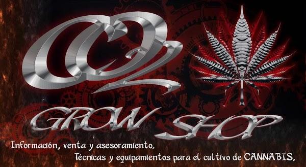 Imagen 19 Restaurant Pizzería Viena foto