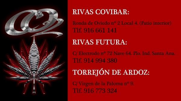 Imagen 24 Restaurant Pizzería Viena foto