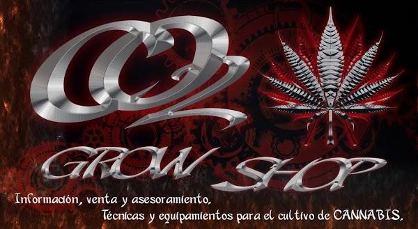 Imagen 30 Restaurant Pizzería Viena foto